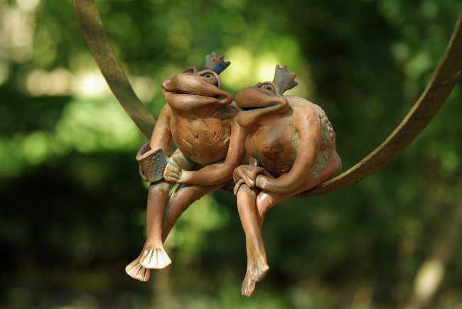 couple de grenouille